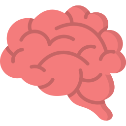 Brain icon