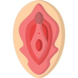 vagina icona