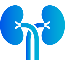 Kidneys icon