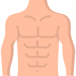 abdominales icono