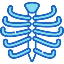 gabbia toracica icona