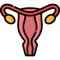 Uterus icon