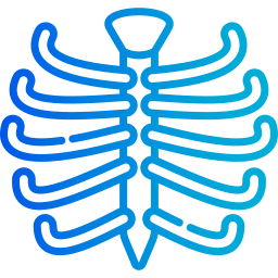 caixa torácica Ícone