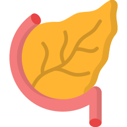pancreas icona