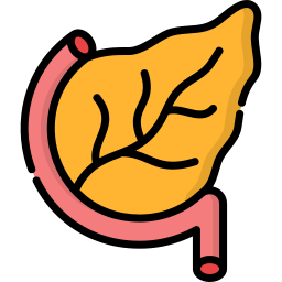 Pancreas icon