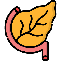 pankreas icon