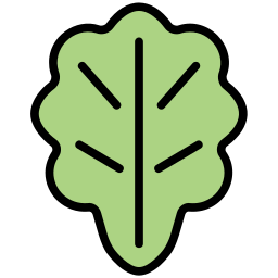 kopfsalat icon