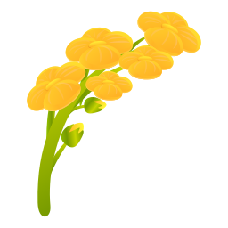Brassica icon