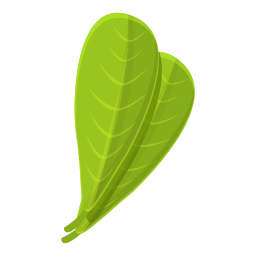 Leaf icon