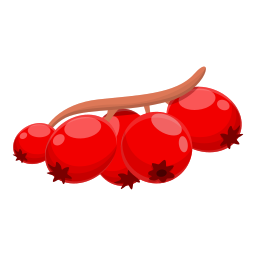 Berry icon