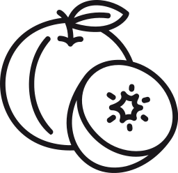 Fruit icon