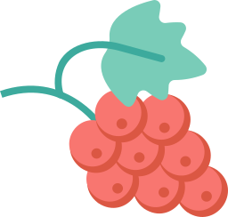 Fruit icon