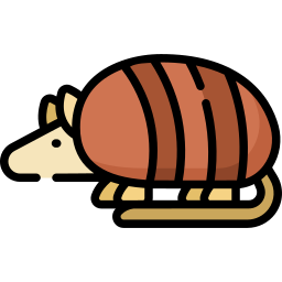 Armadillo icon