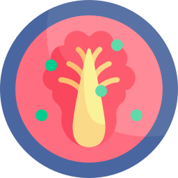 Kimchi icon