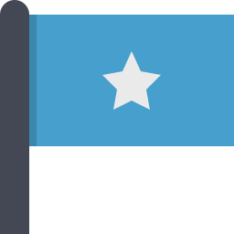 Flag icon