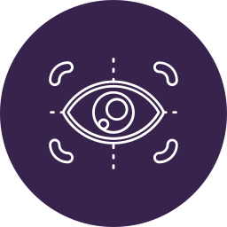 Focus icon