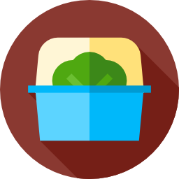 Salad icon