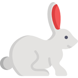 토끼 icon