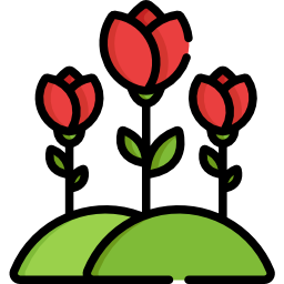 tulipani icona