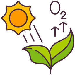 Photosynthesis icon