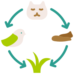 voedselketen icoon