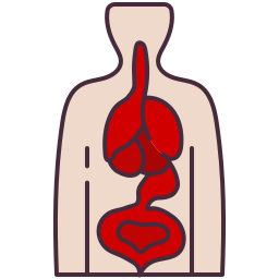 Human organs icon