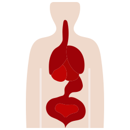 Human organs icon