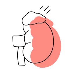 glándula suprarrenal icono