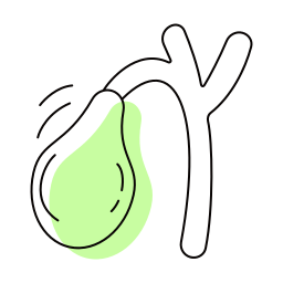 vesícula biliar Ícone
