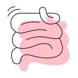 intestino tenue icona