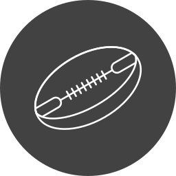 ball icon