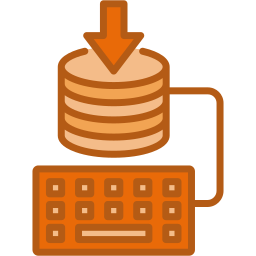 Input data icon