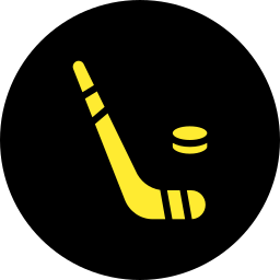 ijshockey icoon