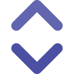 Double arrow icon