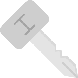 Primary key icon