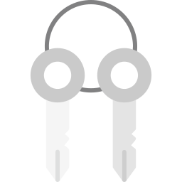 Суррогатный ключ иконка
