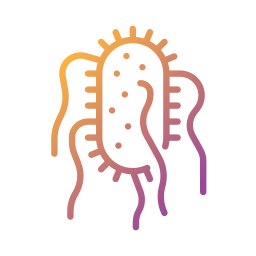 Salmonella typhi icon