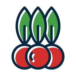 beeren icon