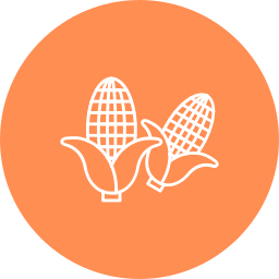 Corn icon