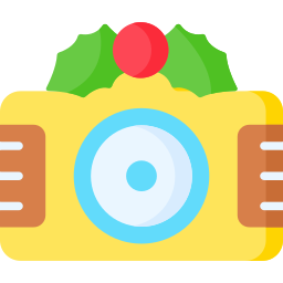 cámara navideña icono