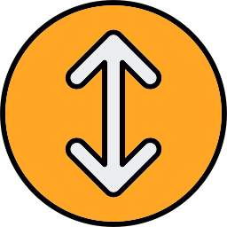 Double arrow icon