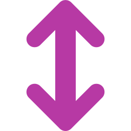 Double arrow icon