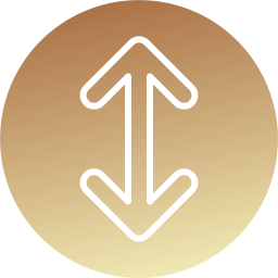 Double arrow icon