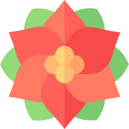 Poinsettia icon