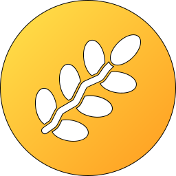 Dates icon