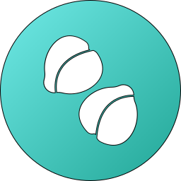 Chickpeas icon