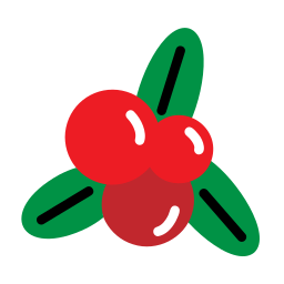 Mistletoe icon