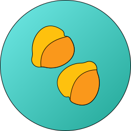 병아리콩 icon