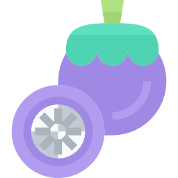 mangostan icon