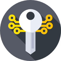 Smart key icon